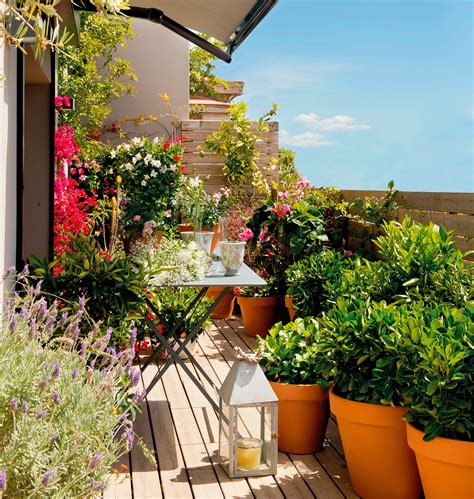 Mesa jardin plantas Continuara.org