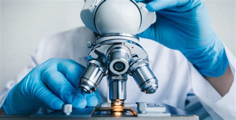 Microscopio Continuara.org