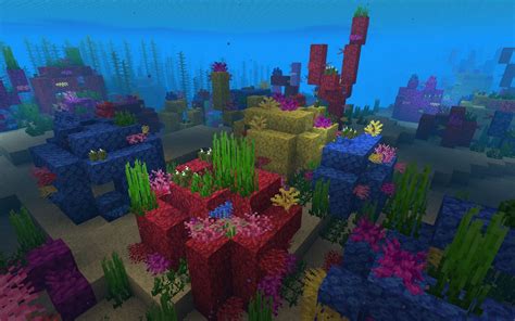 Minecraft sea Continuara.org