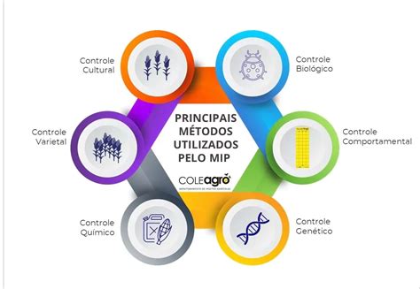 Mip Continuara.org