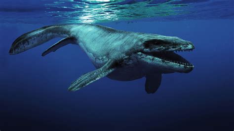 Mosasaurus jurassic world Continuara.org
