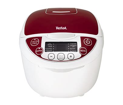 Multicook pro tefal Continuara.org