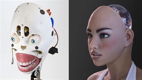 Munecas robots sexuales Continuara.org