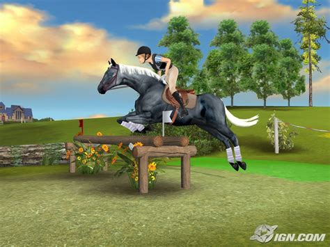 My horse and Continuara.org
