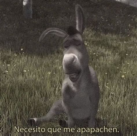 Necesito q me Continuara.org