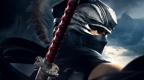 Ninja garden Continuara.org
