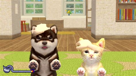 Nintendogs cats Continuara.org