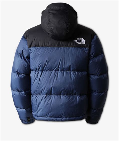 North face nuptse Continuara.org