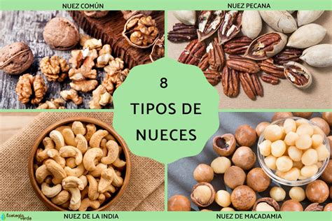 Nueces esta Continuara.org
