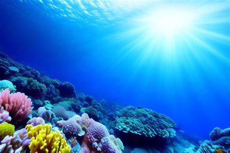 Oceano Continuara.org