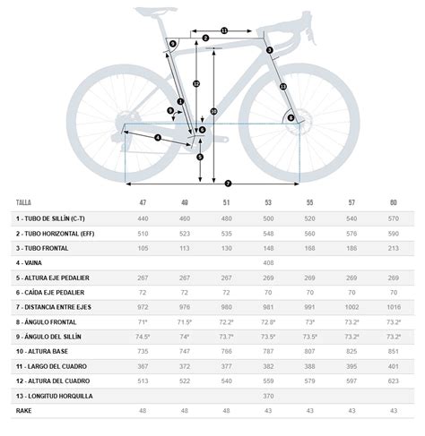 Orbea mujer talla Continuara.org