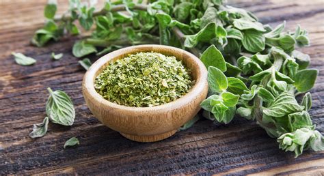 Oregano Continuara.org
