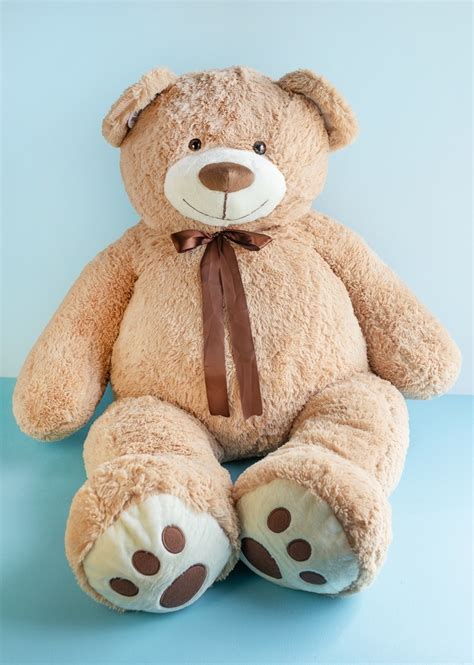 Oso peluche gigante Continuara.org
