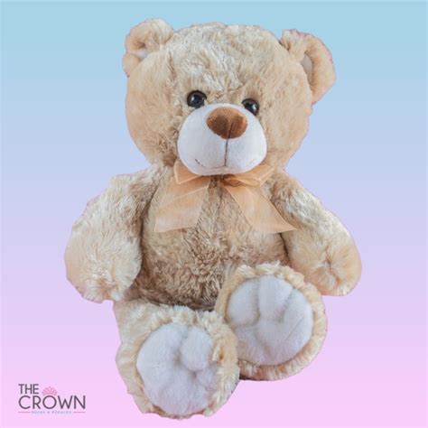 Oso peluche pequeno Continuara.org