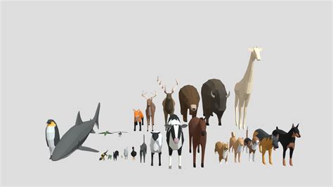 Pack 25 animales Continuara.org