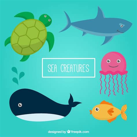 Pack animales mar Continuara.org