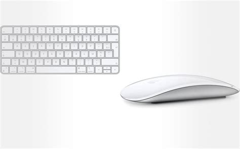 Pack magic mouse Continuara.org