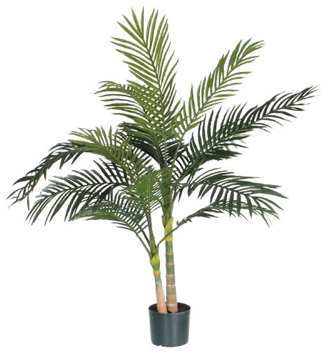 Palmera 120cm Continuara.org
