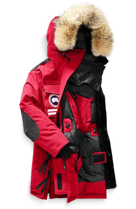 Parca artic Continuara.org
