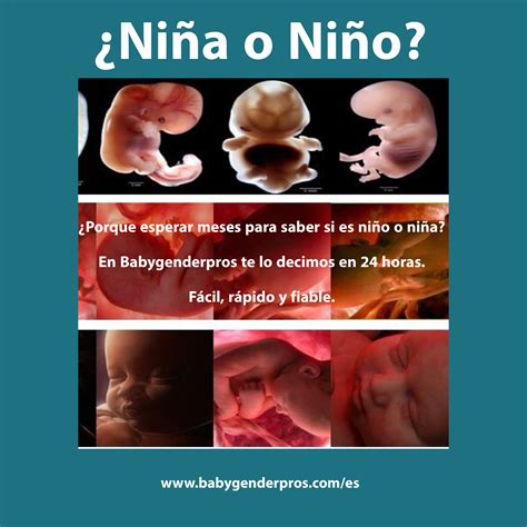 Partida genero bebes Continuara.org