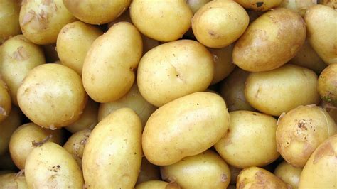 Patatas nuevas Continuara.org