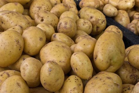 Patatas Continuara.org