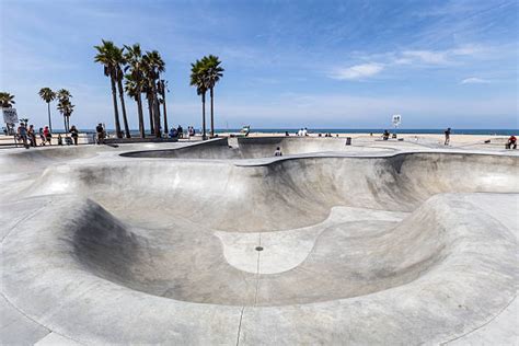 Patin skate venice Continuara.org