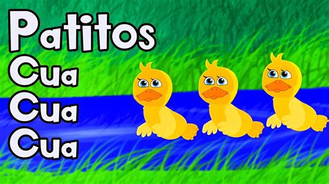 Patitos cua cua Continuara.org