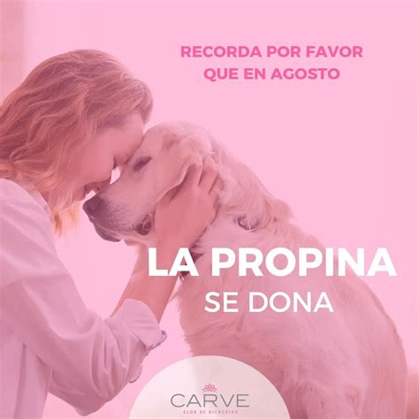 Pedimos colaboracion favor Continuara.org