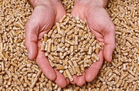 Pellets Continuara.org