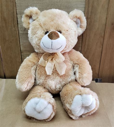 Peluche oso Continuara.org