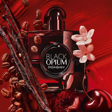 Perfume black opium Continuara.org