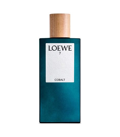 Perfume loewe Continuara.org