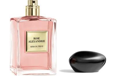 Perfumes lujo exclusivos Continuara.org