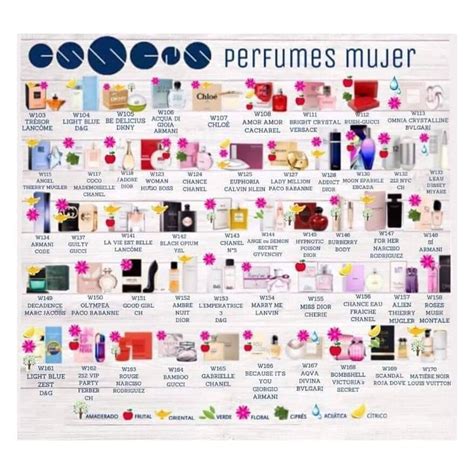 Perfumes mujer equivalentes Continuara.org
