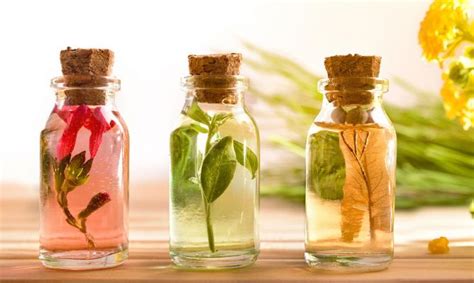 Perfumes naturales Continuara.org