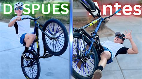 Perrito bici caballito Continuara.org