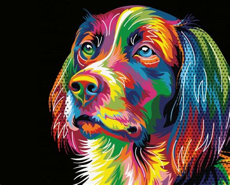 Perrito colores Continuara.org
