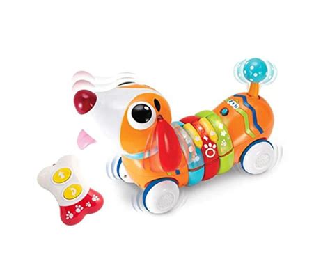 Perrito radiocontrol Continuara.org