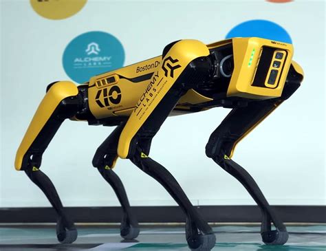 Perro grande robot Continuara.org