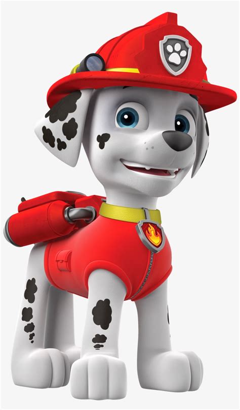 Perro marshall Continuara.org