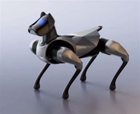 Perro robot Continuara.org