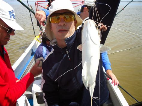 Pesca profesional Continuara.org