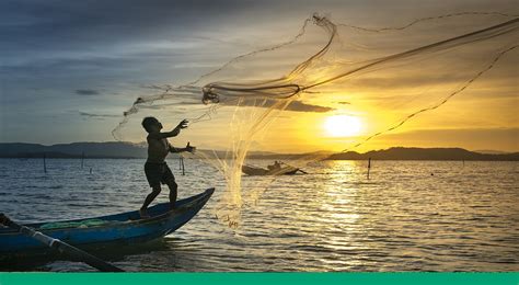 Pesca Continuara.org