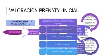 Peso balanza prenatal Continuara.org