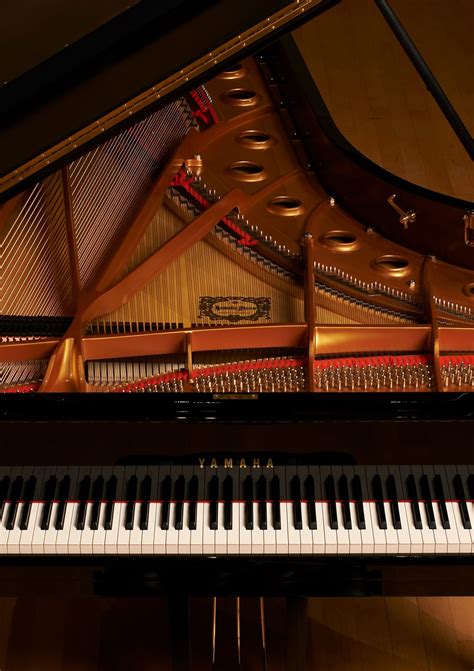 Piano instrumentos musicales Continuara.org