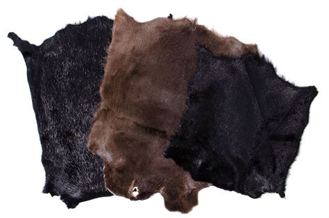 Piel nutria Continuara.org