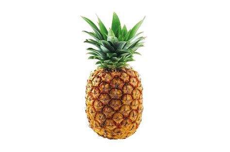 Pina Continuara.org