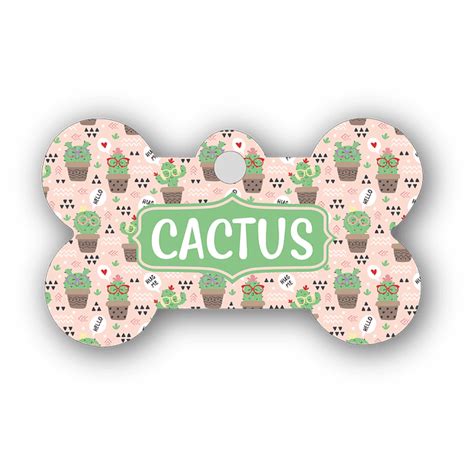 Placa cactus Continuara.org