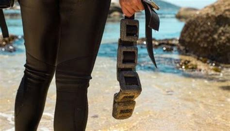 Plomos buceo Continuara.org